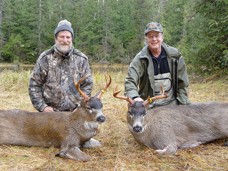Treasure Hunter Lodge Blacktail Deer hunting on prince of wales island